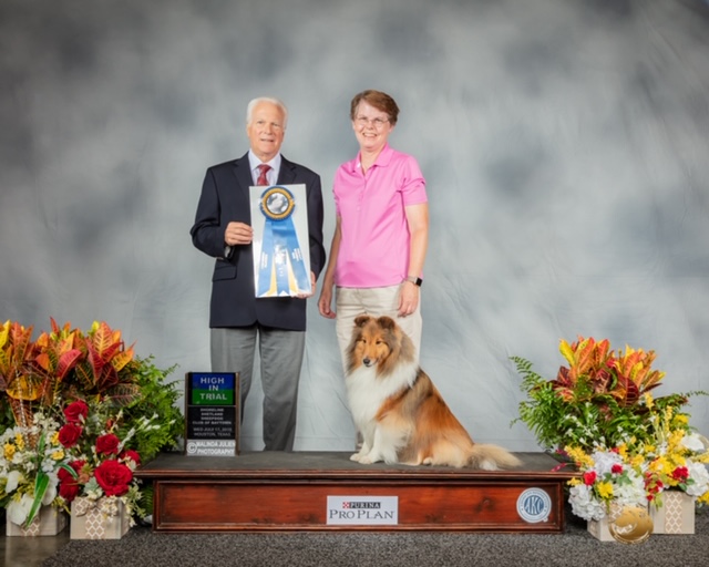 rimrock shelties