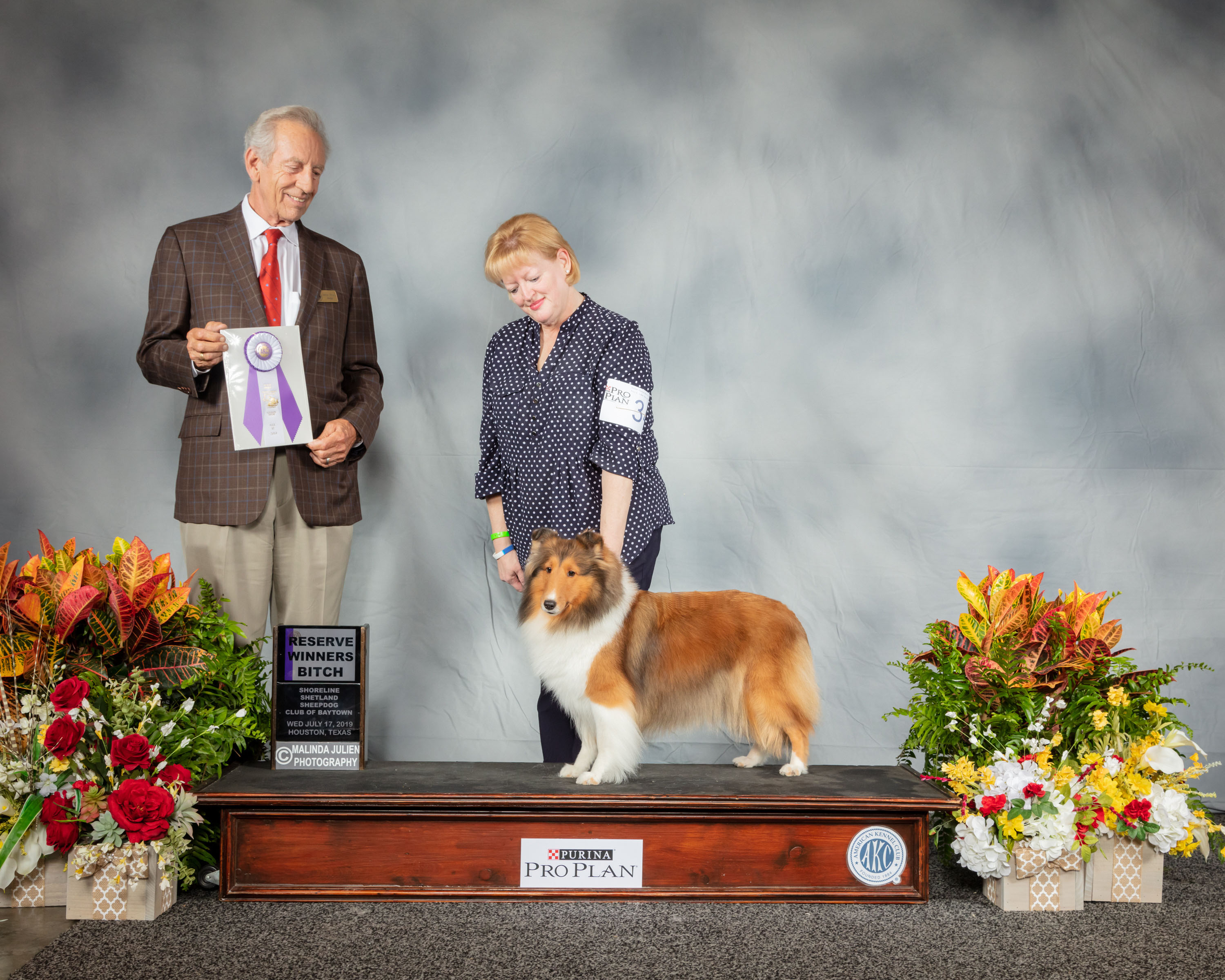 rimrock shelties